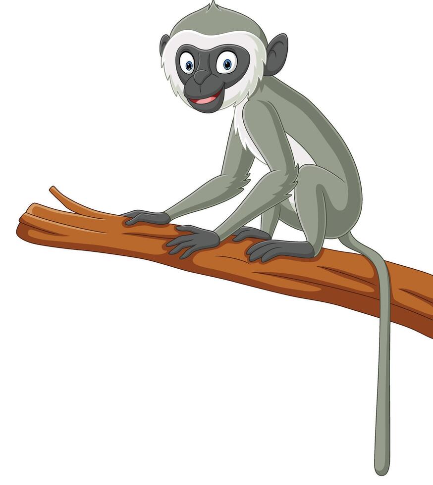 mignonne langur singe dessin animé sur arbre branche vecteur