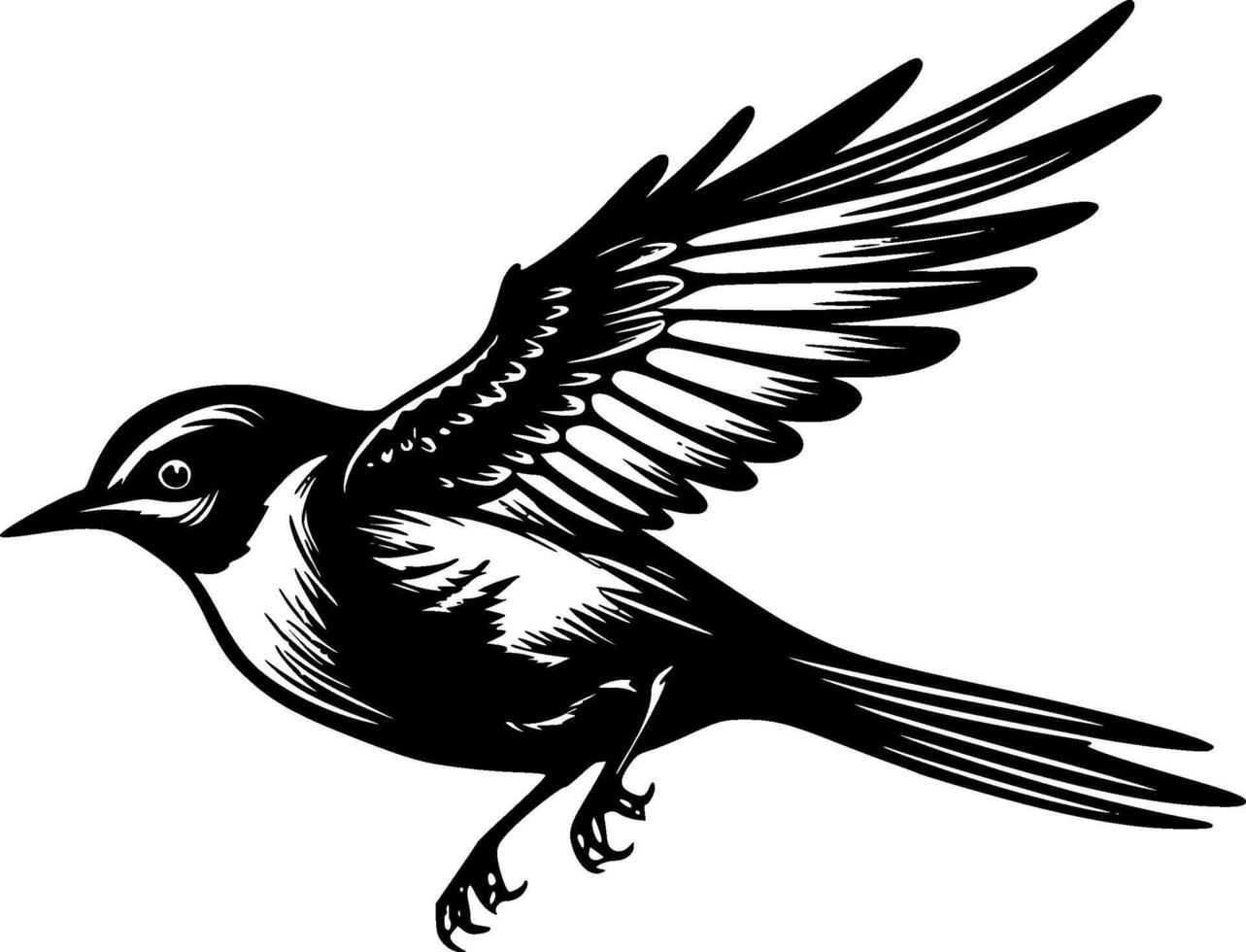 oiseau, noir et blanc illustration vecteur