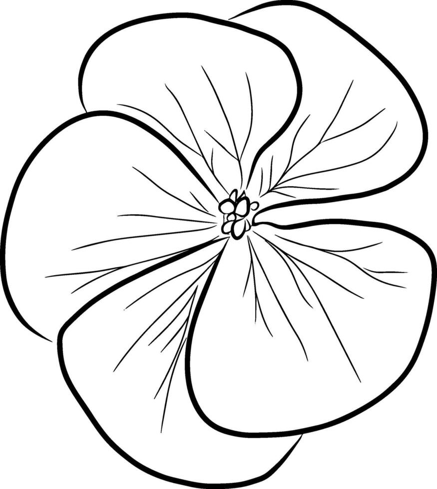 main dessin ligne de géranium fleur conception graphique illustration vecteur