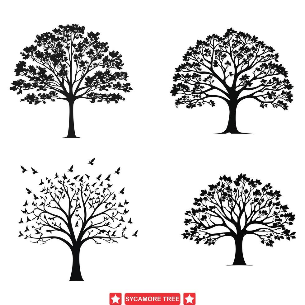 rustique charme sycomore arbre collection pour artistique projets vecteur