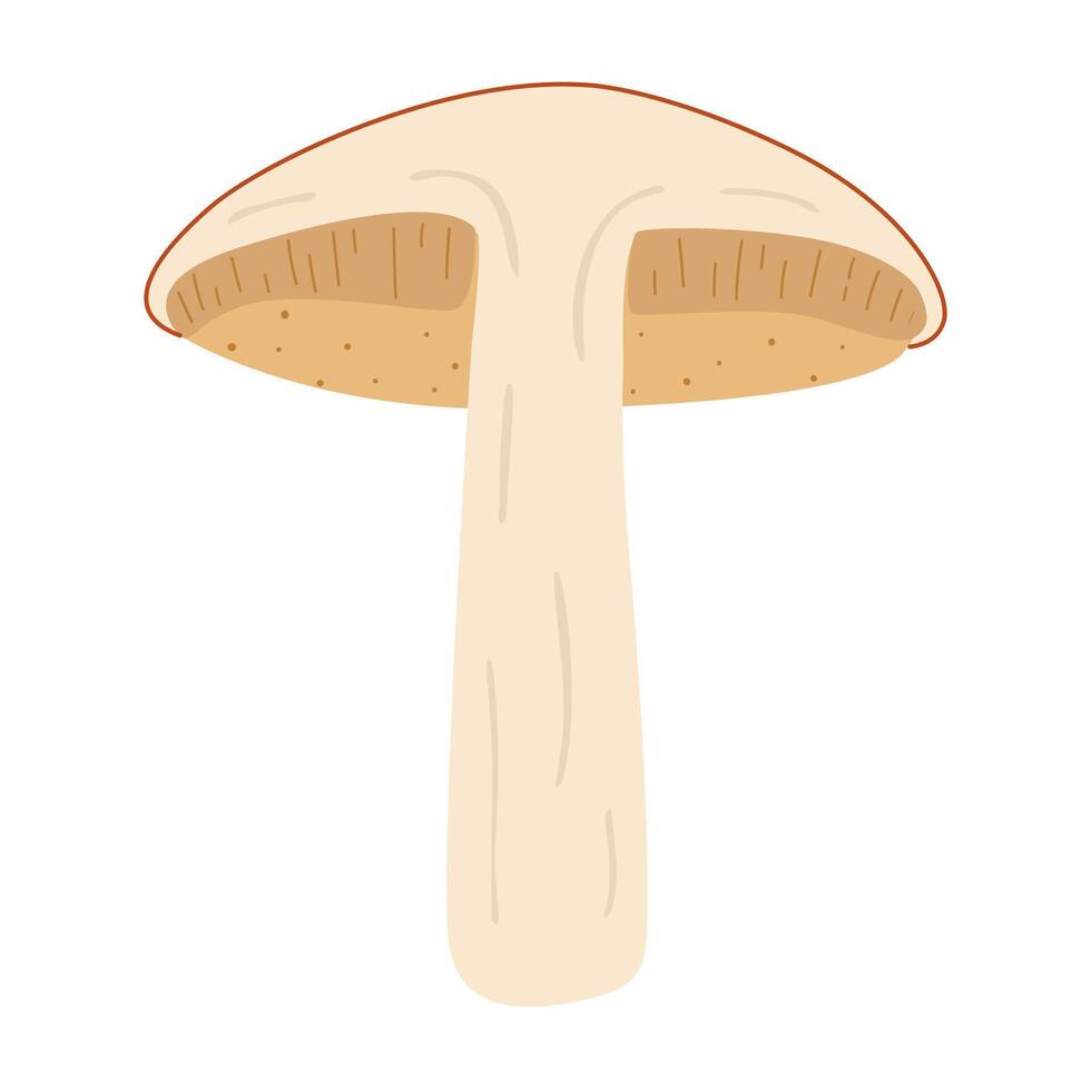 Orange bouleau bolet. réduit de moitié champignon. leccinum champignons. comestible forêt champignons. végétarien champignons marron casquette bolet. botanique plat illustration isolé sur blanc Contexte. vecteur