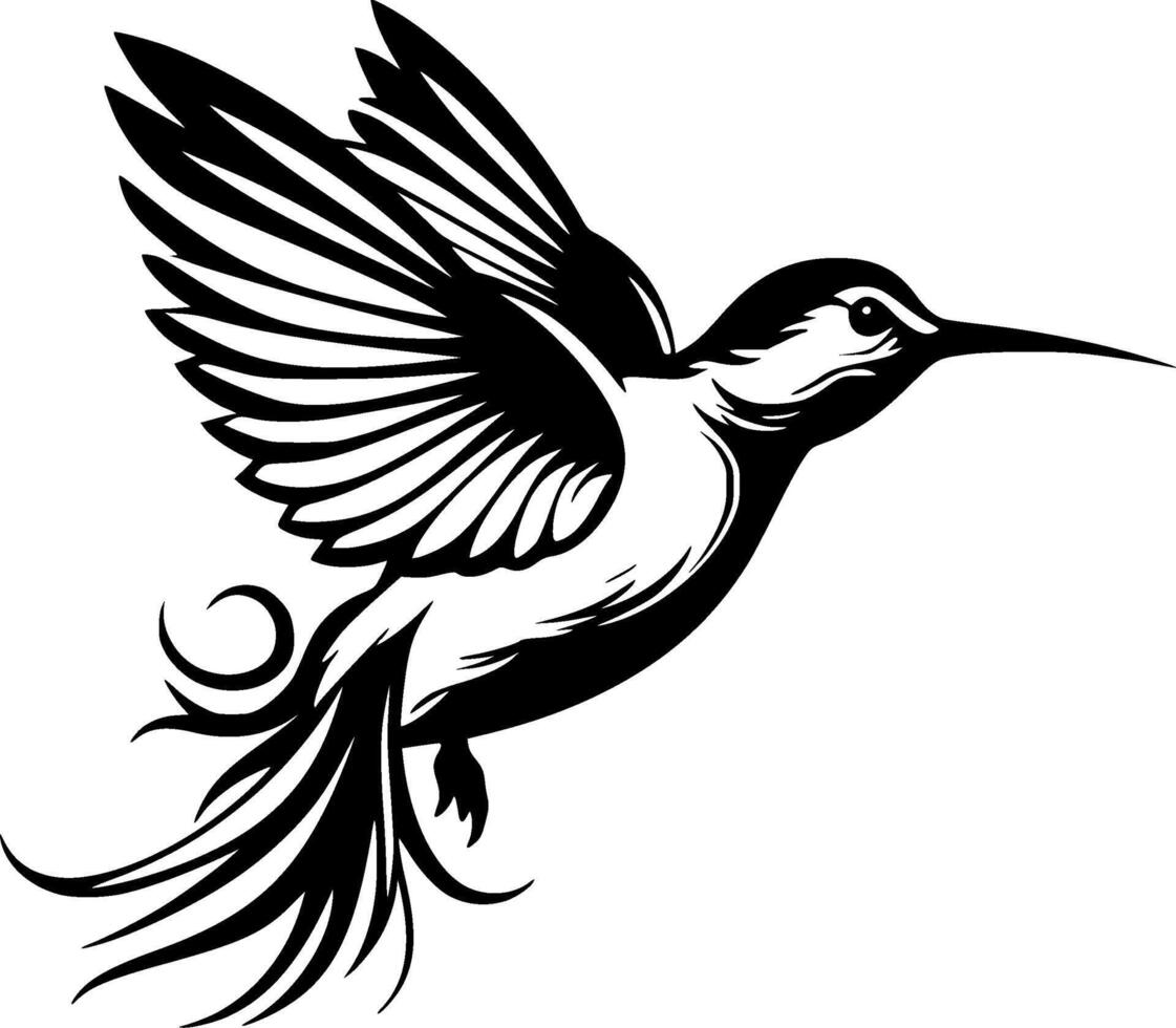 colibri, noir et blanc illustration vecteur