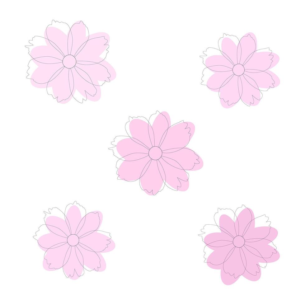 une ensemble de cinq doux rose cosmos fleurs. , blanc Contexte. vecteur