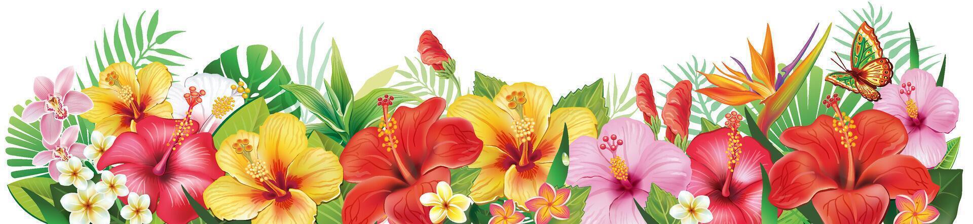 Cadre et couronne de hibiscus fleurs et tropical feuille vecteur
