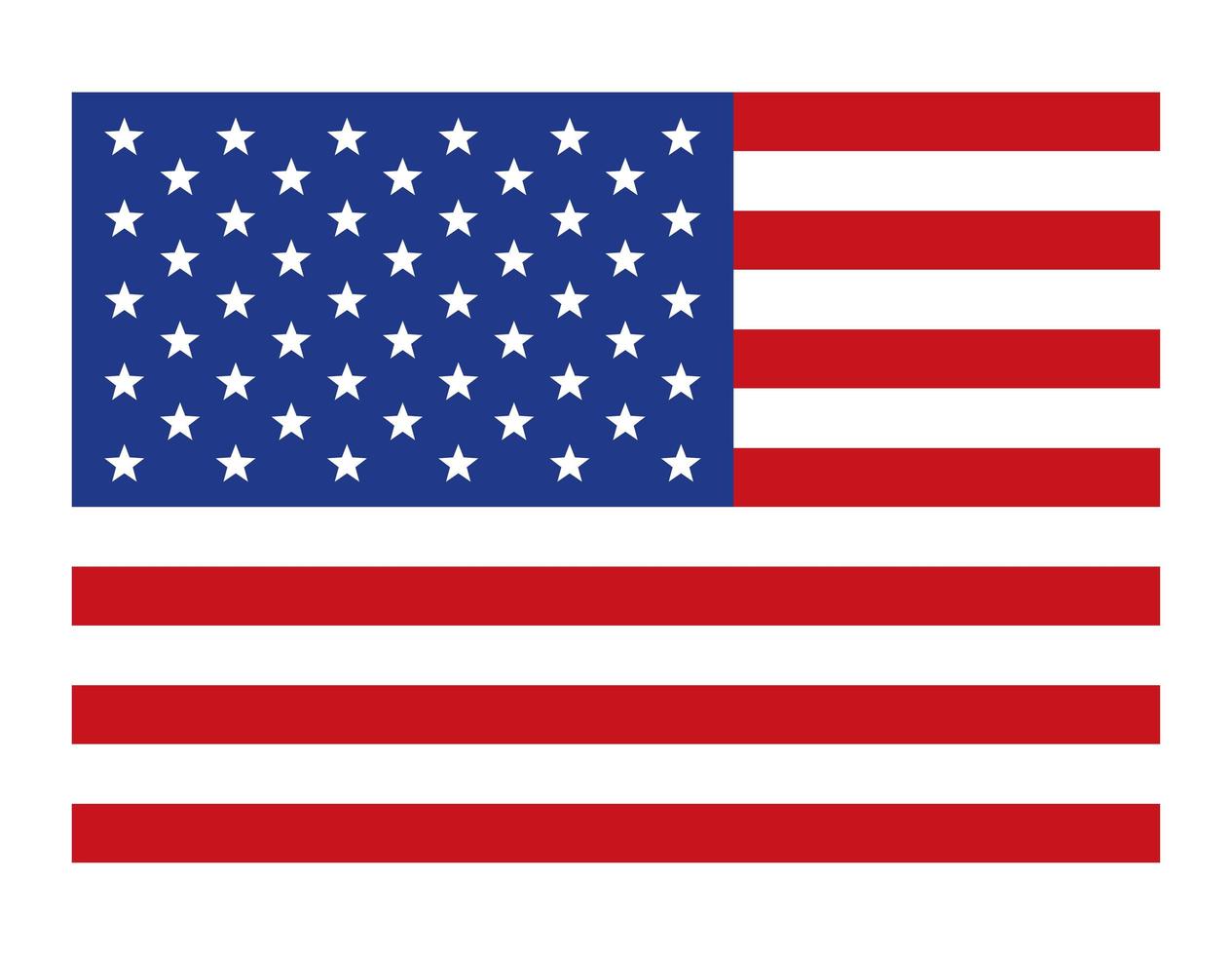 drapeau du pays des états-unis vecteur