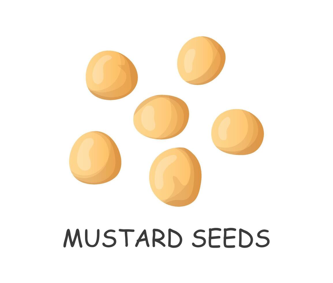 moutarde des graines main tiré dans dessin animé style vecteur
