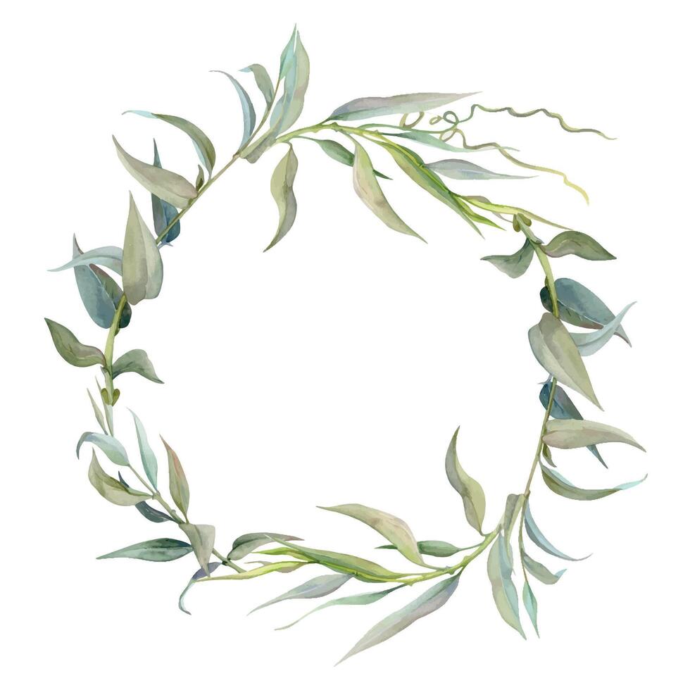 main tiré aquarelle illustration botanique feuilles. osier cendre chêne acacia bois noir saule lancette eucalyptus laurier branche. cercle couronne isolé sur blanc Contexte. conception mariage, l'amour cartes, magasin vecteur