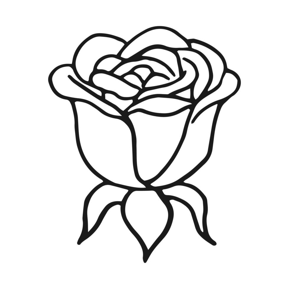 Rose fleurir, bourgeons. main tiré illustration dans contour style. vecteur
