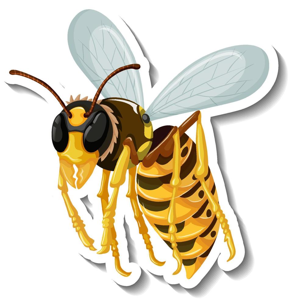 autocollant de bande dessinée d'insecte d'abeille de miel vecteur