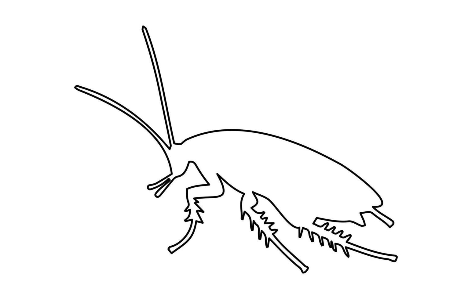 noir contour de cafard isolé sur blanc surface. illustration. icône, signe, pictogramme, imprimer. conception élément. ravageur contrôle et infestation concept pour conception, impression et éducatif Matériel vecteur