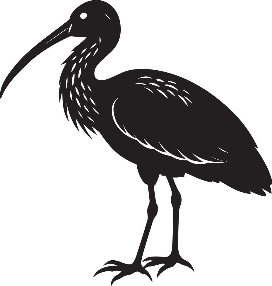 une noir et blanc silhouette de une ibis oiseau vecteur