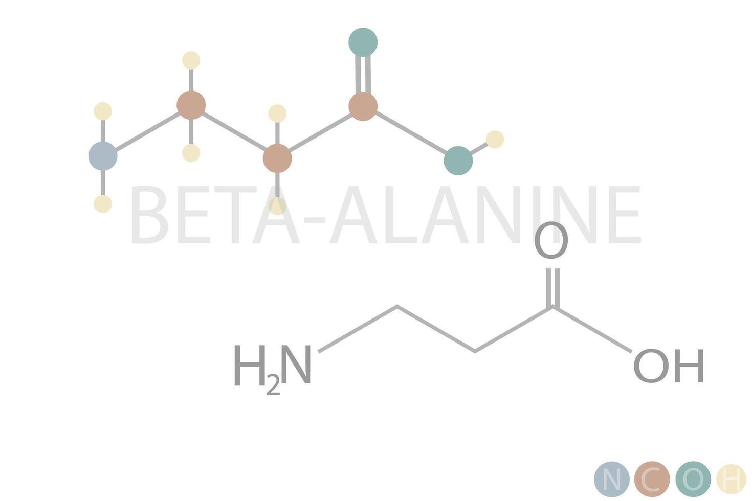 bêta alanine moléculaire squelettique chimique formule vecteur