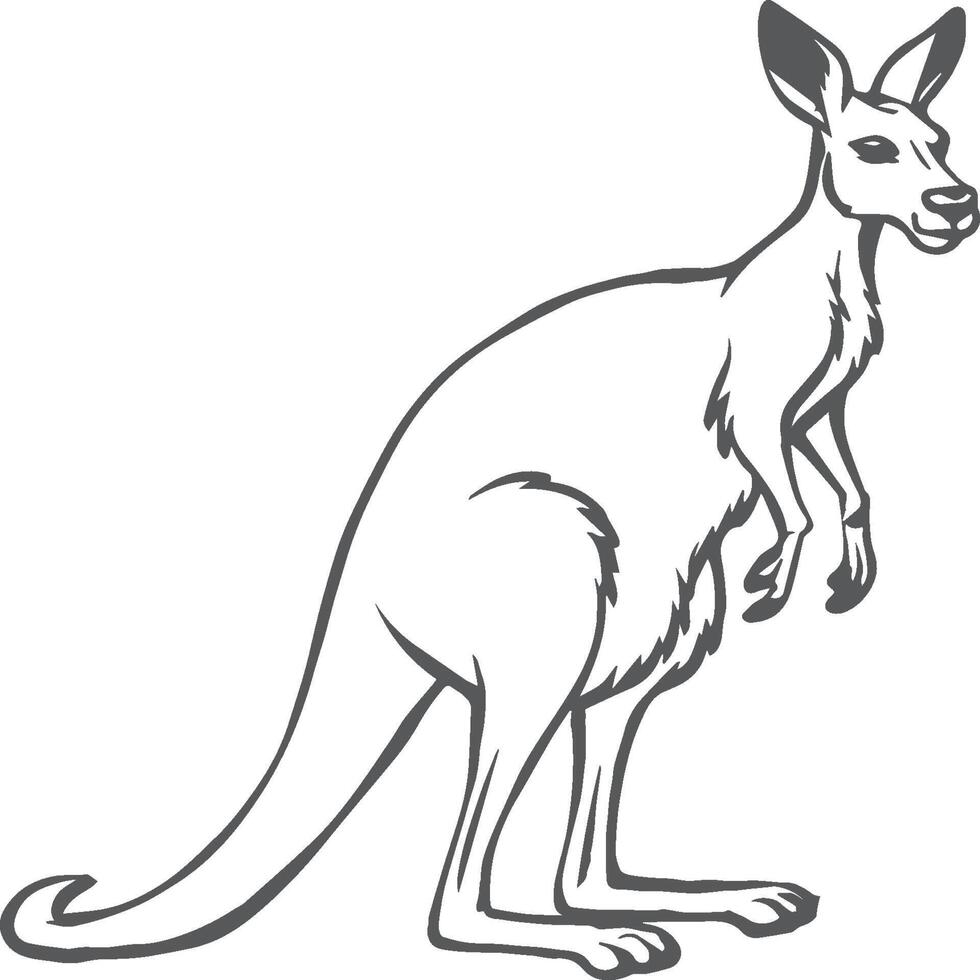 kangourou coloration pages. kangourou animal contour pour coloration livre vecteur