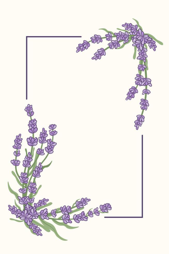 rectangulaire Cadre de main tiré lavande. Provence floral herbes avec violet fleurs. floraison lavande recueillies dans bouquets. vecteur
