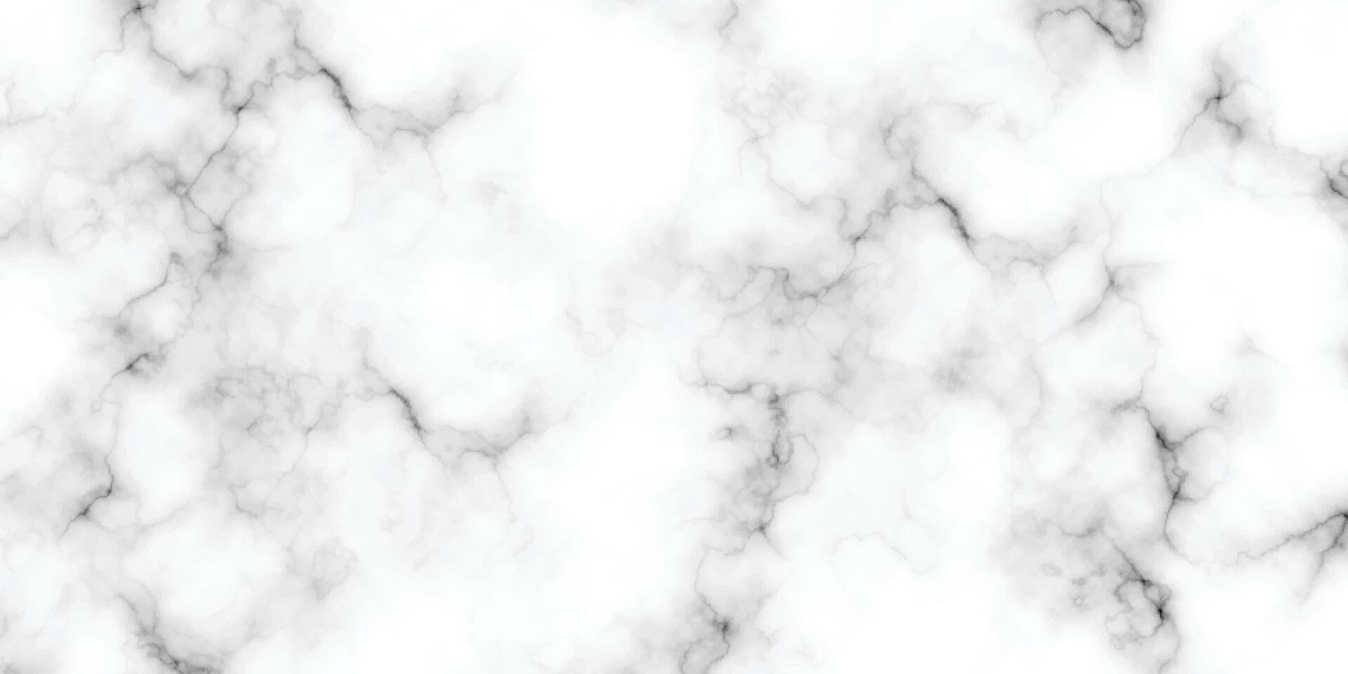 marbre granit blanc panorama Contexte. abstrait lumière élégant noir faire sol, céramique texture pierre dalle. marbre texture Contexte avec haute résolution. vecteur