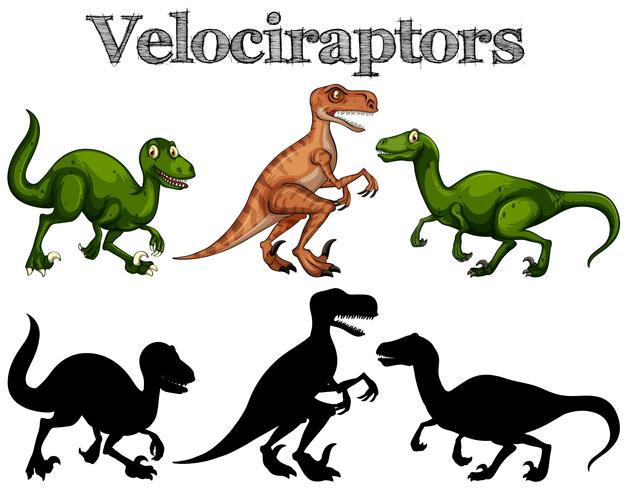 Velociraptors et silhouettes sur fond blanc vecteur