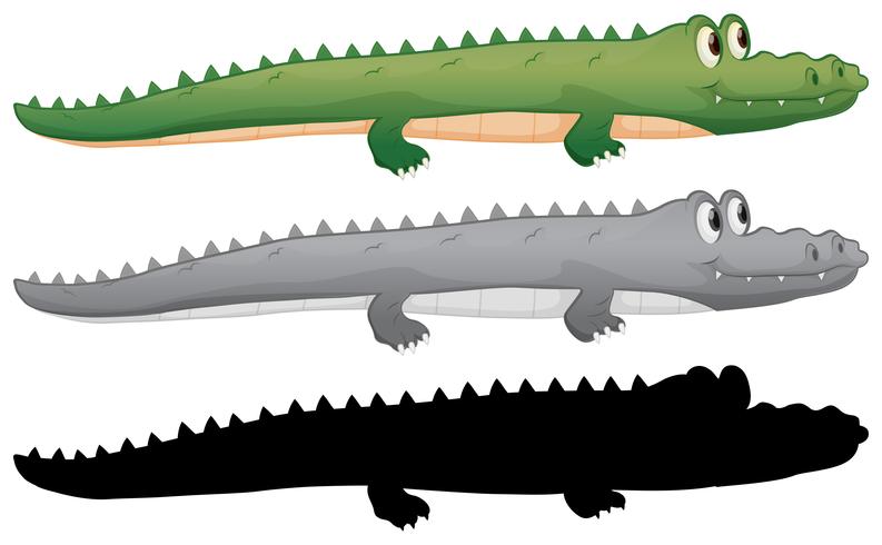 Ensemble de personnage de crocodile vecteur