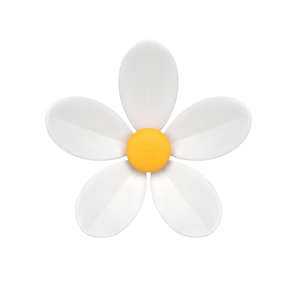 romantique camomille Naturel biologique fleur botanique fleur bourgeon isométrique 3d icône réaliste vecteur