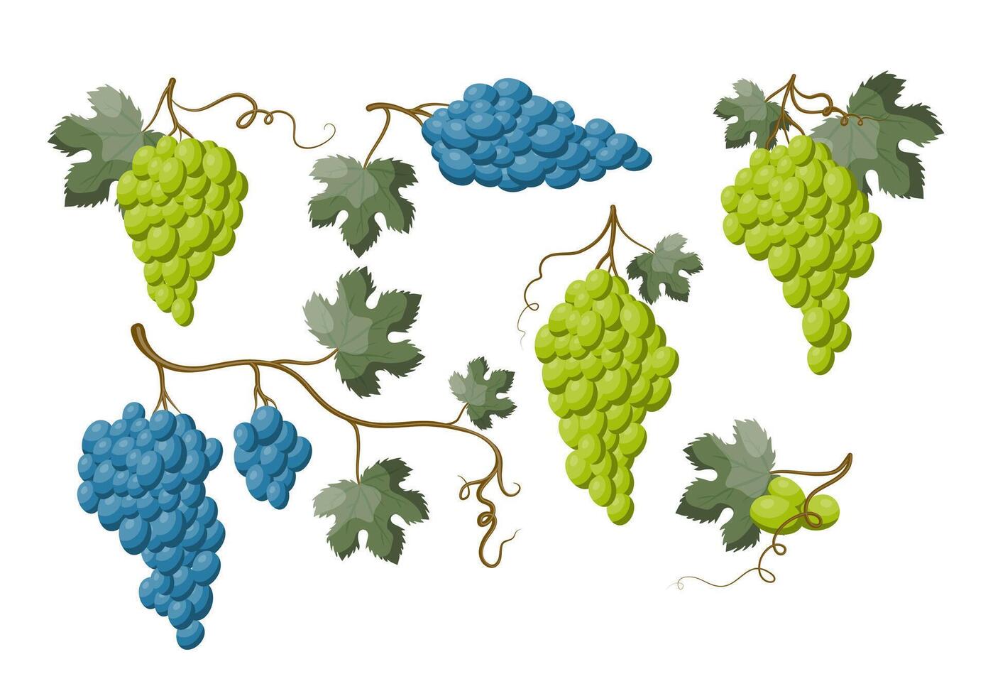 dessin animé Couleur pendaison grain de raisin brindilles avec vert feuilles et baies ensemble vecteur