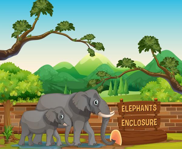 Deux éléphants au zoo vecteur