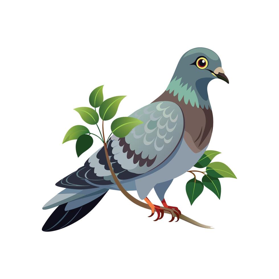 réaliste pigeon-oiseau concept illustration vecteur