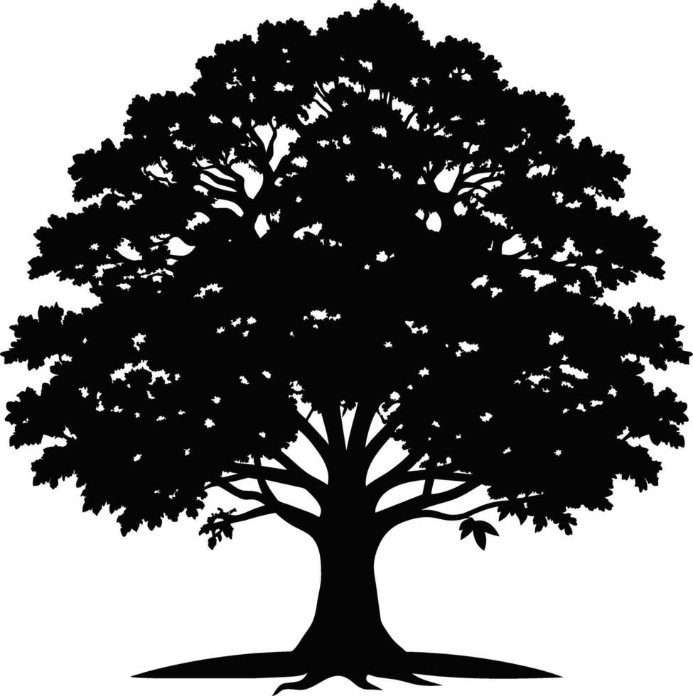 chêne arbre silhouette noir sur blanc Contexte vecteur