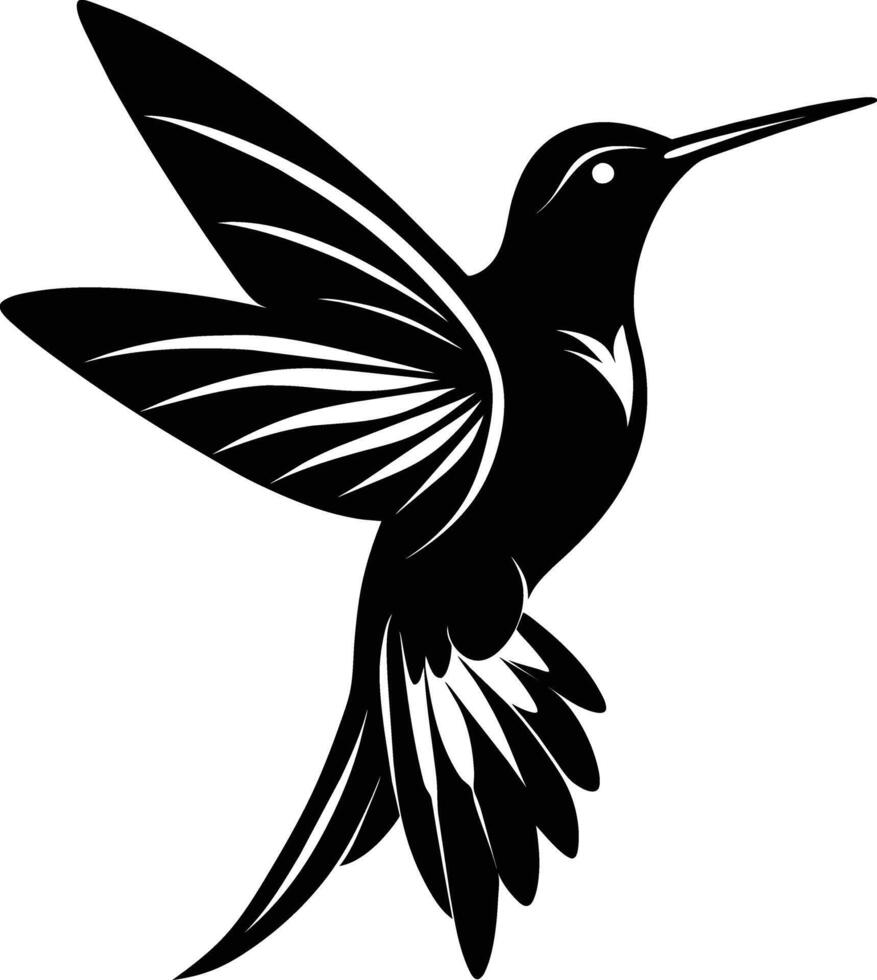 colibri silhouette noir illustration vecteur