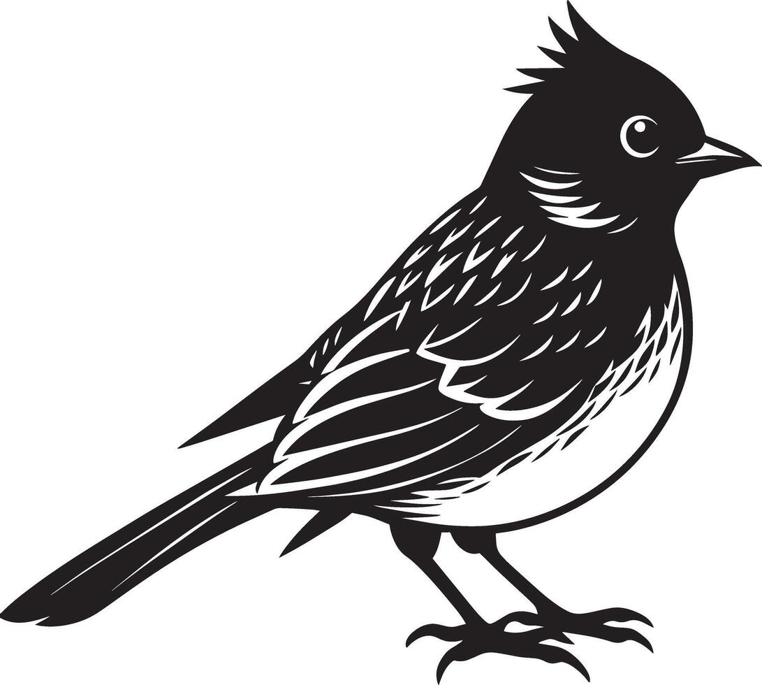 noir et blanc rayé bulbul - illustration - isolé sur blanc Contexte vecteur