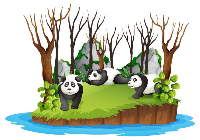 Panda dans la forêt sauvage vecteur