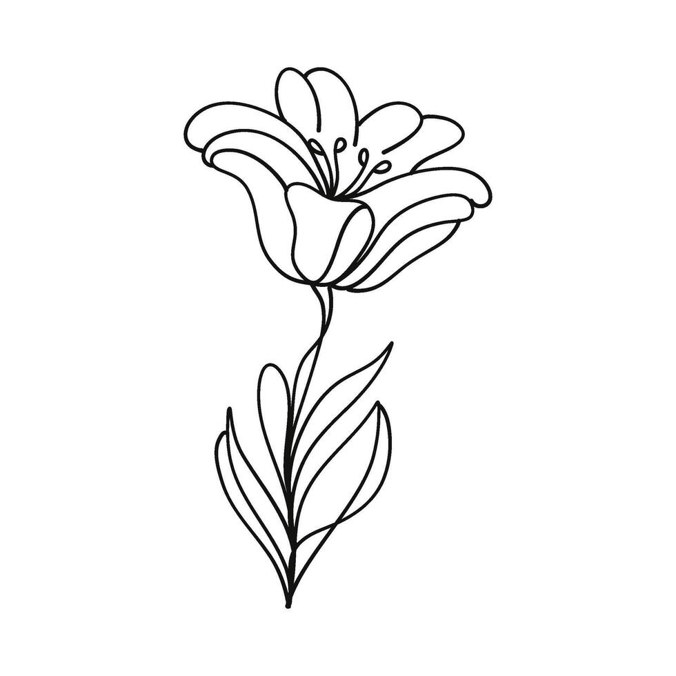 minimaliste esthétique fleur tulipe griffonnage impression pour Accueil décor vecteur