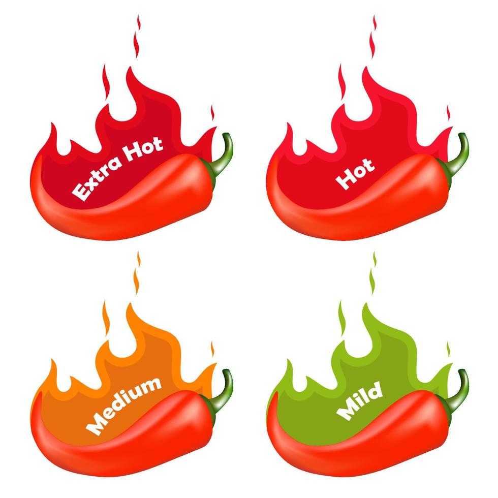 niveaux d'épices de piment. signe de piment avec flamme de feu pour emballer des aliments épicés. illustration vectorielle. vecteur