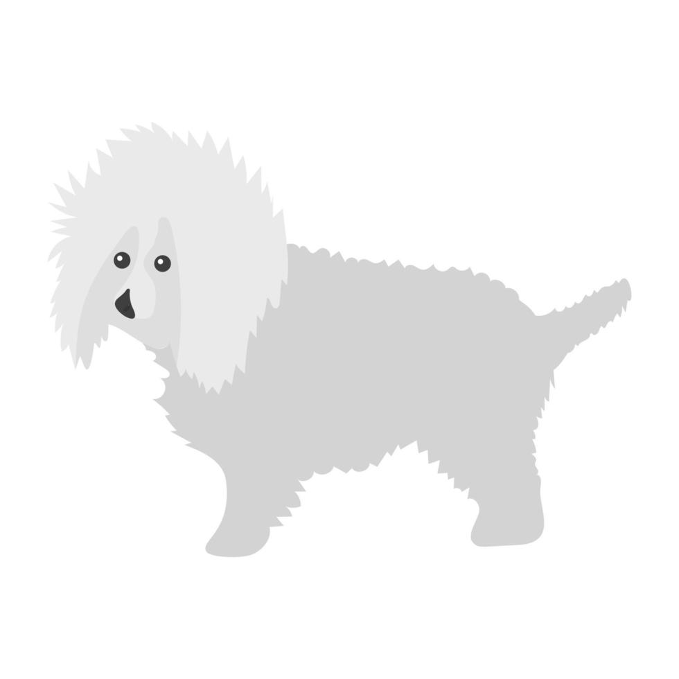 concepts de bichon frisé vecteur