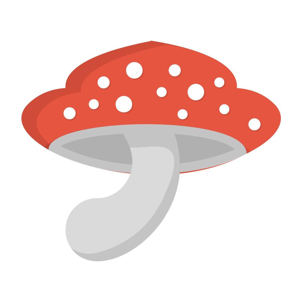 concepts de champignons à la mode vecteur