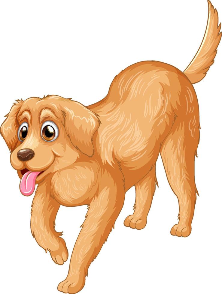 Caricature de chien golden retriever sur fond blanc vecteur