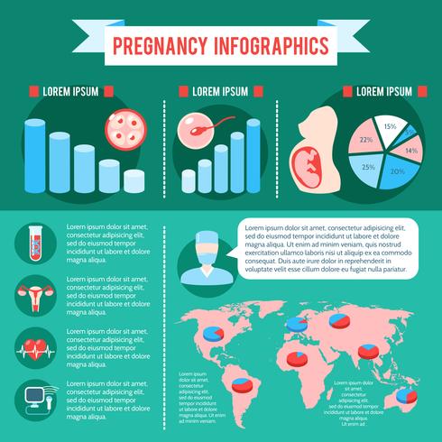 Grossesse Infographie Nouveau-né vecteur