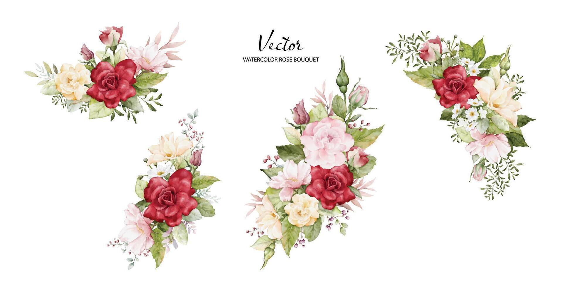 ensemble de aquarelle arrangements avec Rose fleurs vecteur