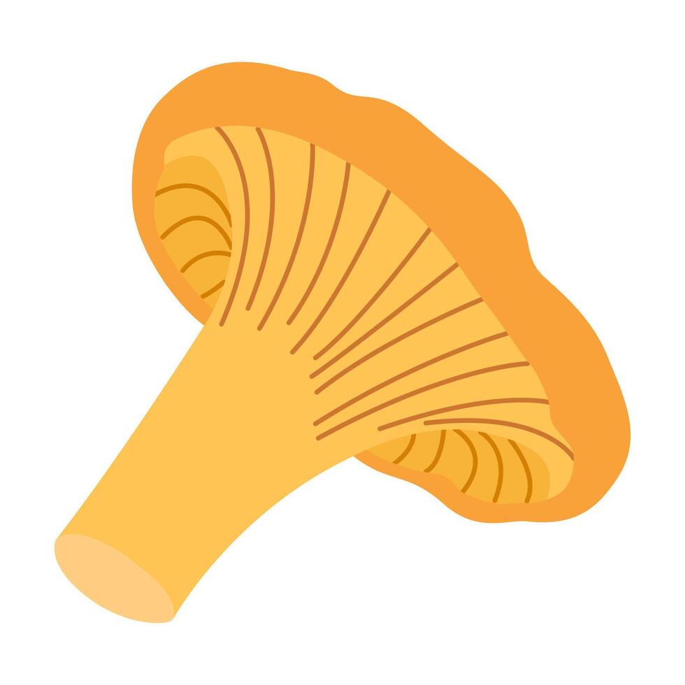 chanterelle illustration. comestible chanterelle champignons. Jaune champignon. main tiré branché plat style. griffonnage l'automne forêt récolte vecteur