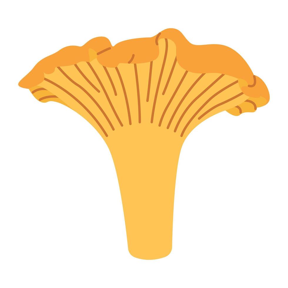 chanterelle illustration. comestible chanterelle champignons. Jaune champignon. main tiré branché plat style. griffonnage l'automne forêt récolte vecteur