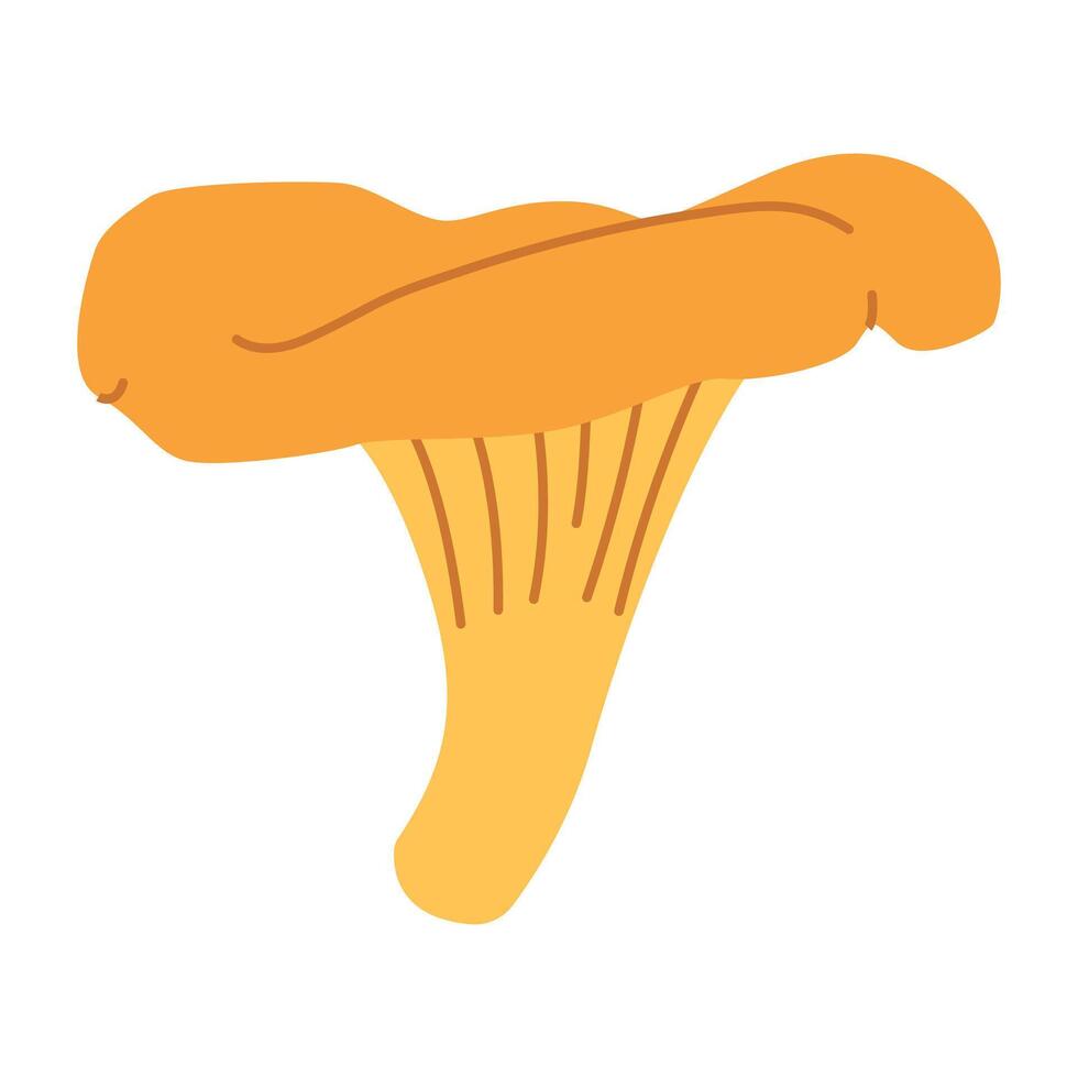 chanterelle illustration. comestible chanterelle champignons. Jaune champignon. main tiré branché plat style. griffonnage l'automne forêt récolte vecteur