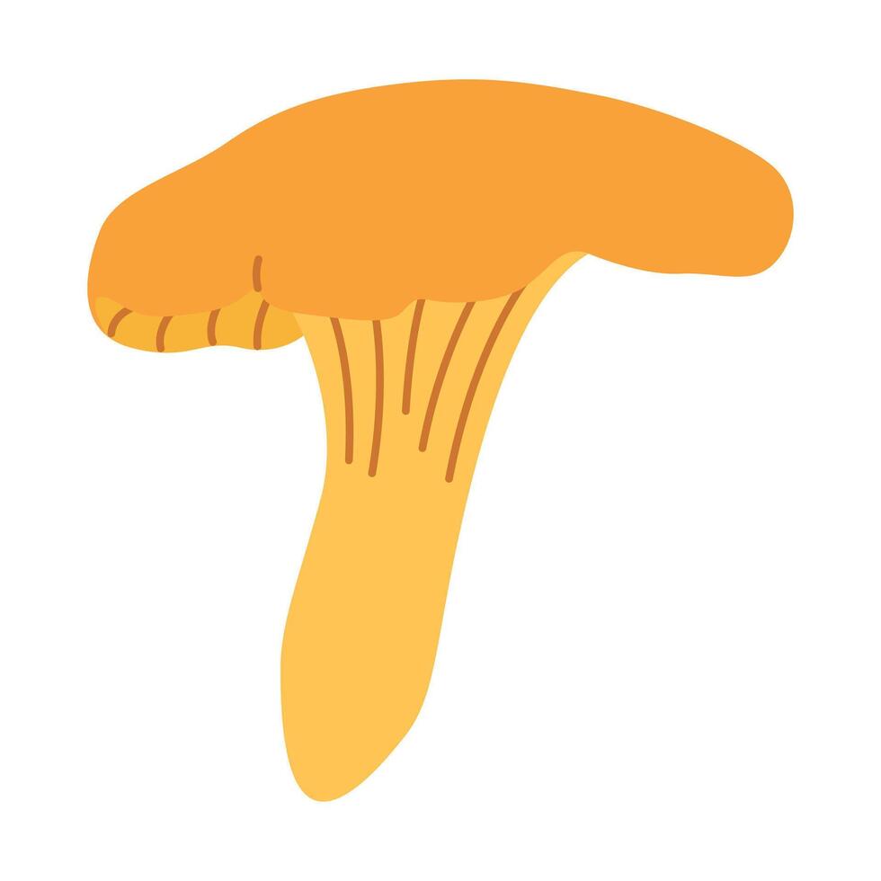 chanterelle illustration. comestible chanterelle champignons. Jaune champignon. main tiré branché plat style. griffonnage l'automne forêt récolte vecteur