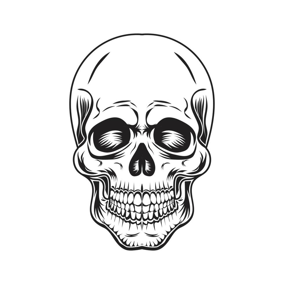 ancien crâne conception style illustration vecteur