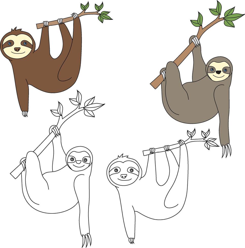 la paresse clipart. sauvage animaux clipart collection pour les amoureux de jungles et faune. cette ensemble volonté être une parfait une addition à votre safari et sur le thème du zoo projets. vecteur