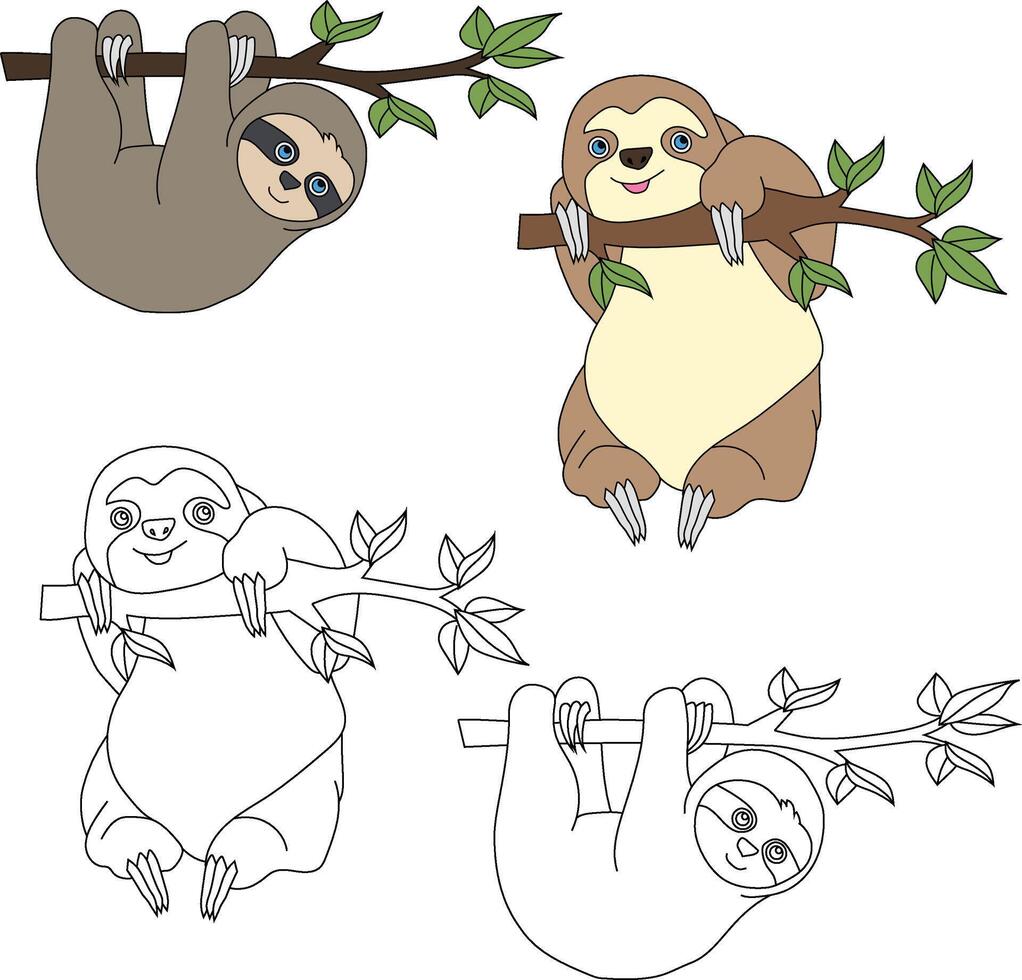 la paresse clipart. sauvage animaux clipart collection pour les amoureux de jungles et faune. cette ensemble volonté être une parfait une addition à votre safari et sur le thème du zoo projets. vecteur