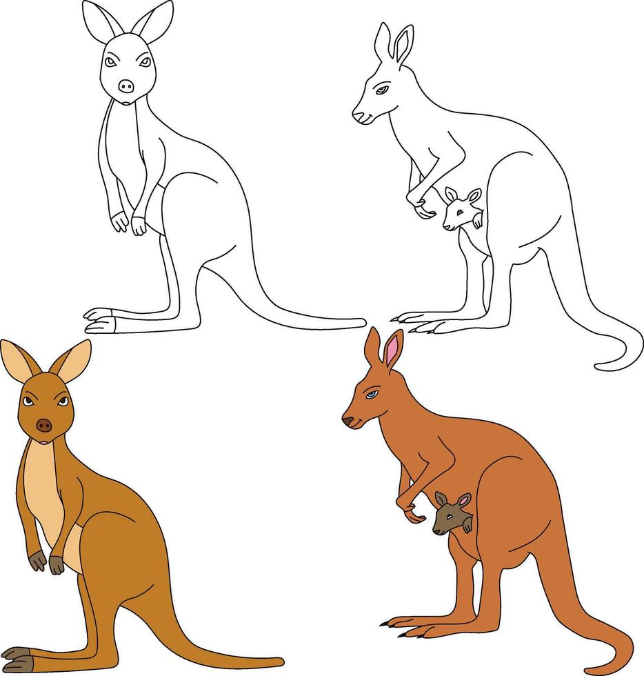 kangourou clipart. sauvage animaux clipart collection pour les amoureux de jungles et faune. cette ensemble volonté être une parfait une addition à votre safari et sur le thème du zoo projets. vecteur