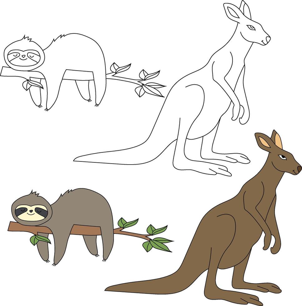 kangourou et la paresse clipart. sauvage animaux clipart collection pour les amoureux de jungles et faune. cette ensemble volonté être une parfait une addition à votre safari et sur le thème du zoo projets vecteur