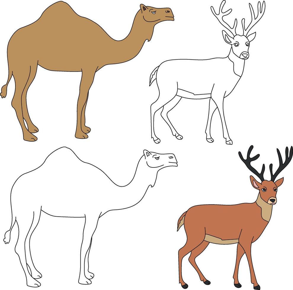 chameau et cerf clipart. sauvage animaux clipart collection pour les amoureux de jungles et faune. cette ensemble volonté être une parfait une addition à votre safari et sur le thème du zoo projets vecteur