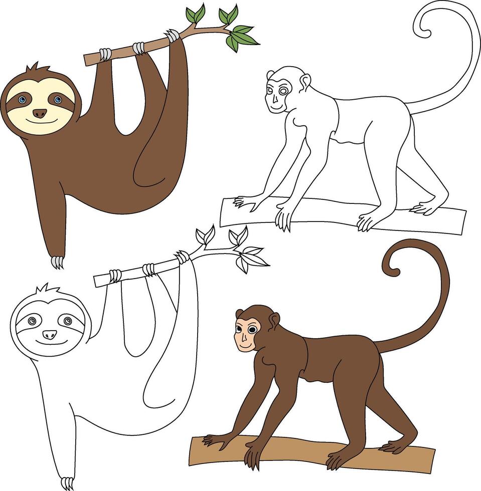 singe et la paresse clipart. sauvage animaux clipart collection pour les amoureux de jungles et faune. cette ensemble volonté être une parfait une addition à votre safari et sur le thème du zoo projets vecteur