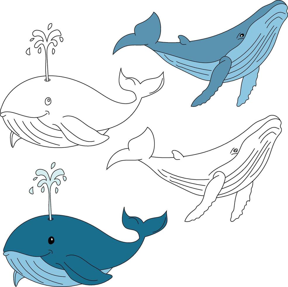 baleine clipart. aquatique animal clipart pour les amoureux de sous-marin mer animaux, Marin vie, et mer la vie vecteur