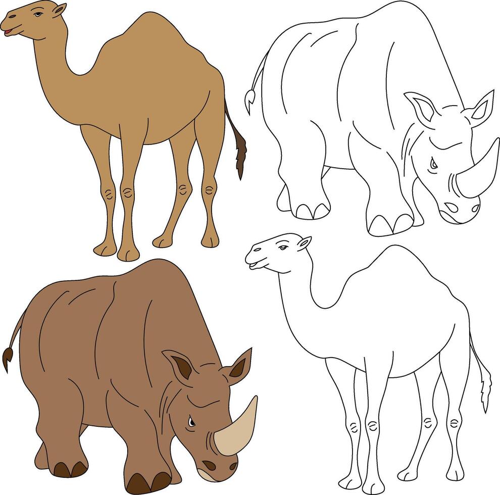 chameau et rhinocéros clipart. sauvage animaux clipart collection pour les amoureux de jungles et faune. cette ensemble volonté être une parfait une addition à votre safari et sur le thème du zoo projets vecteur