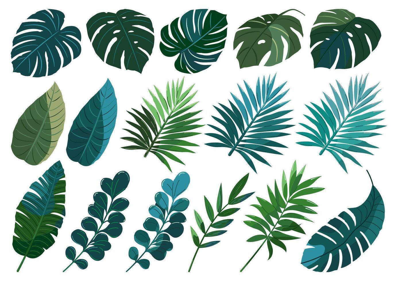 ensemble de des illustrations de tropical feuilles vecteur